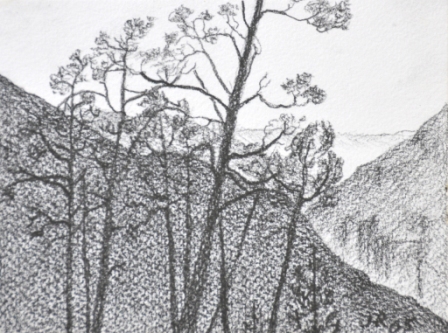 W05 im Bergwald - Bleistiftzeichn, 11,5 x 16 cm, 2005