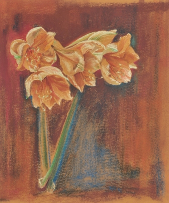 WAmaryllis,Pastell,46x39,1994