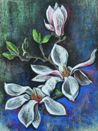 WMagnolien-Pastell,30x24,1993